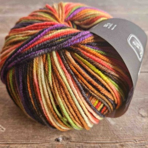 Lang Yarns Wooladdicts 8ply Sock yarn 004